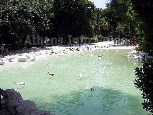 Duck pond in the National Garden