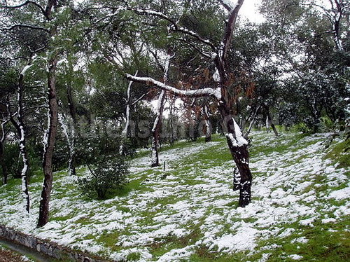 Snow on Philopappou Hill