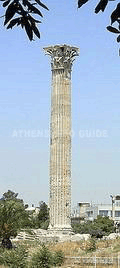Одна из сохранившихся в вертикальном положении колонн храма Зевса Олимпийского
